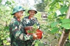 Commando troops excel in farming